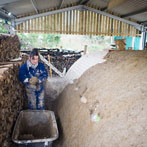 Kigbeare Kiln Project - Rebecca